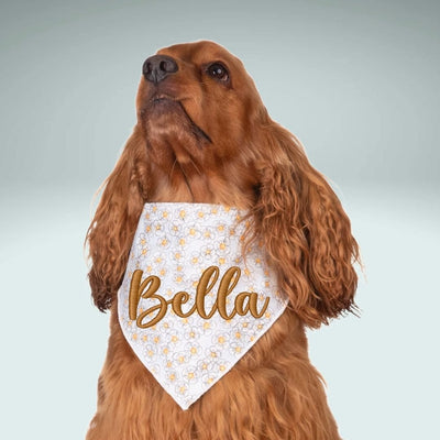 Scrunchie Bandanas Gray Daisy Embroidered Scrunchie Dog Bandana by Life for Pawz – Handmade for pets