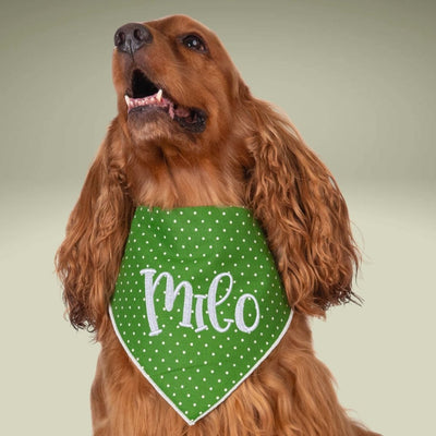 Scrunchie Bandanas Green Polka Dot Embroidered Scrunchie Dog Bandana by Life for Pawz – Handmade for pets