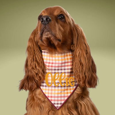 Scrunchie Bandanas Harvest Plaid by Life for Pawz – Handmade for pets