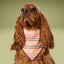 Scrunchie Bandanas Harvest Plaid by Life for Pawz – Handmade for pets