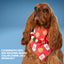 Scrunchie Bandanas Milk & Cookies by Life for Pawz – Handmade for pets