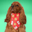 Scrunchie Bandanas Milk & Cookies by Life for Pawz – Handmade for pets