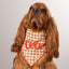Scrunchie Bandanas Pumpkin Gingham by Life for Pawz – Handmade for pets