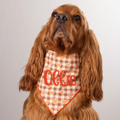 Scrunchie Bandanas Pumpkin Gingham by Life for Pawz – Handmade for pets