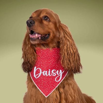 Scrunchie Bandanas Red Polka Dot Embroidered Scrunchie Dog Bandana by Life for Pawz – Handmade for pets