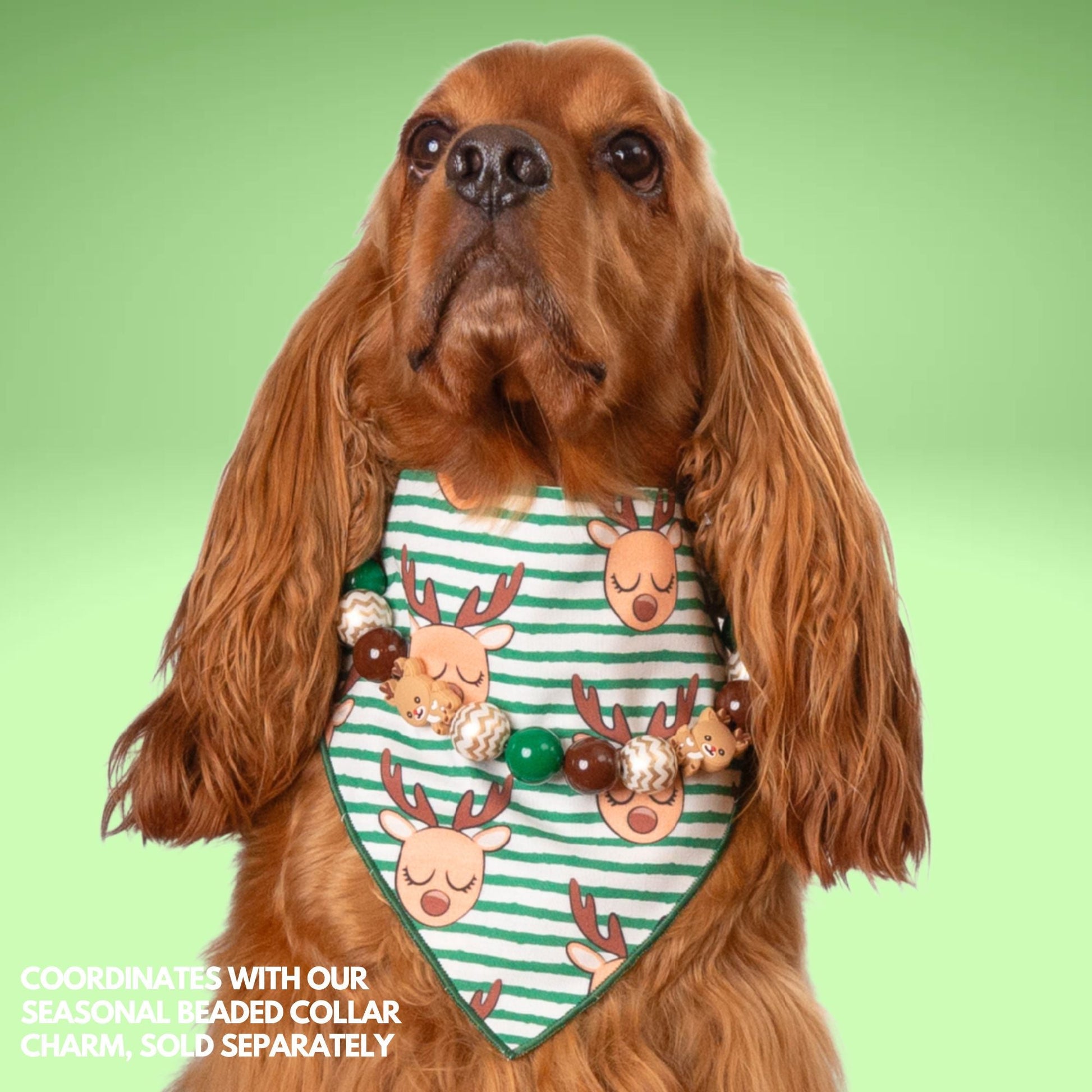 Scrunchie Bandanas Reindeer Stripes by Life for Pawz – Handmade for pets