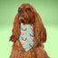 Scrunchie Bandanas Reindeer Stripes by Life for Pawz – Handmade for pets