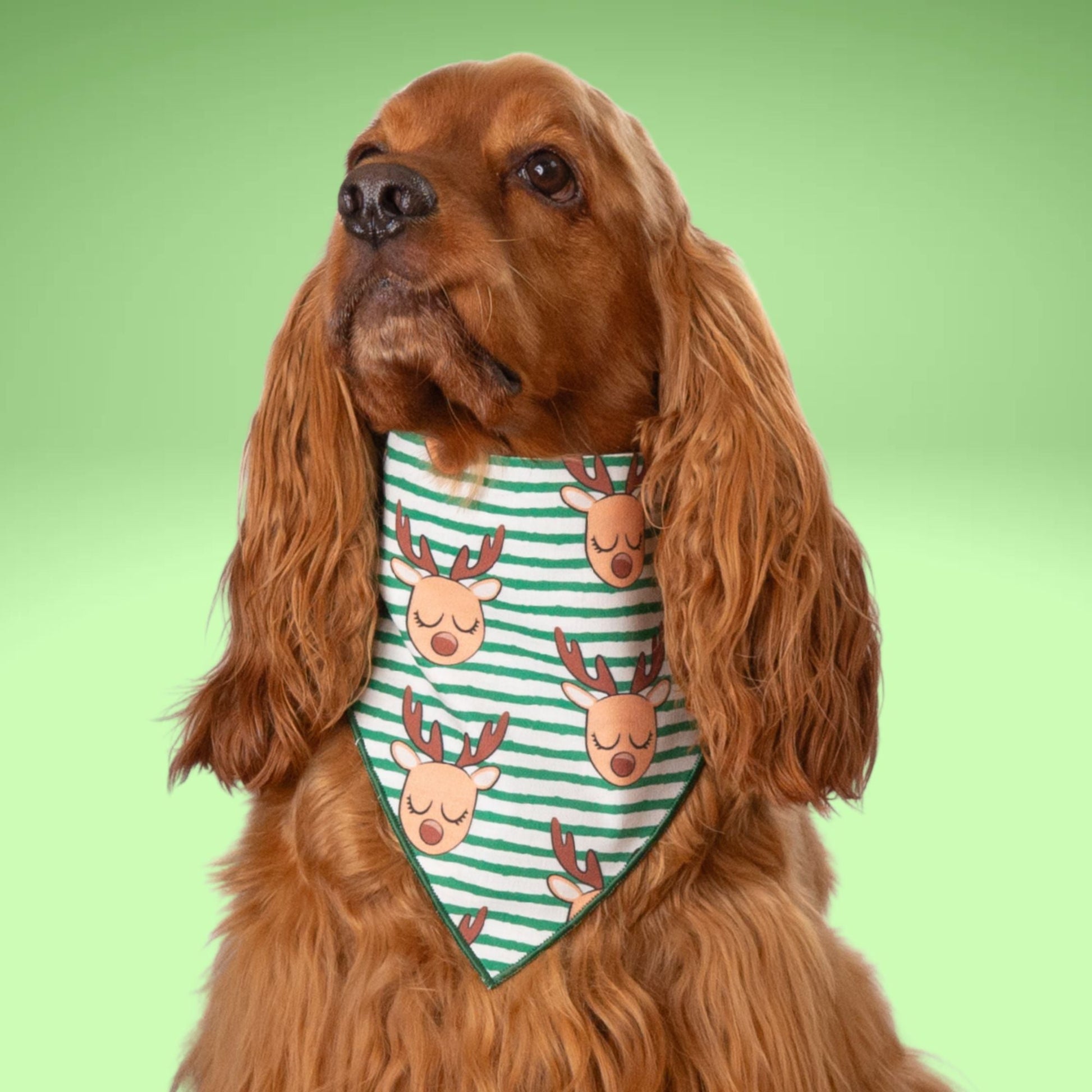 Scrunchie Bandanas Reindeer Stripes by Life for Pawz – Handmade for pets