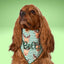 Scrunchie Bandanas Reindeer Stripes by Life for Pawz – Handmade for pets
