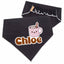 Scrunchie Bandanas Scrunchie Dog Bandana – Multi - Color Collection by Life for Pawz – Handmade for pets