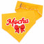 Scrunchie Bandanas Scrunchie Dog Bandana – Multi - Color Collection by Life for Pawz – Handmade for pets