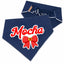 Scrunchie Bandanas Scrunchie Dog Bandana – Multi - Color Collection by Life for Pawz – Handmade for pets
