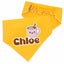 Scrunchie Bandanas Scrunchie Dog Bandana – Multi - Color Collection by Life for Pawz – Handmade for pets