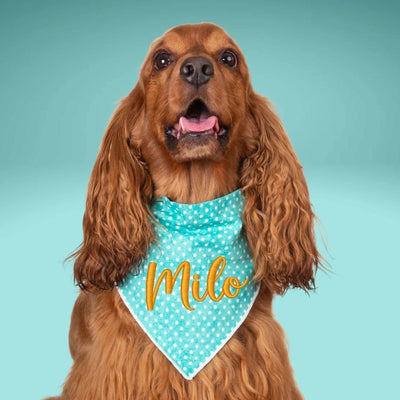 Scrunchie Bandanas Turquoise Polka Dot Embroidered Scrunchie Dog Bandana by Life for Pawz – Handmade for pets