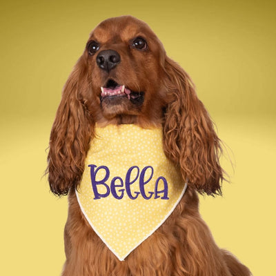 Scrunchie Bandanas Yellow Dots Embroidered Scrunchie Dog Bandana by Life for Pawz – Handmade for pets
