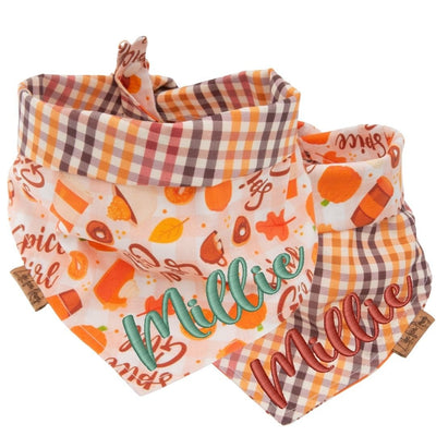 Tie and Snap Autumn Spice by Life for Pawz – Handmade for pets