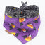 Tie and Snap Bats Spider Web by Life for Pawz – Handmade for pets