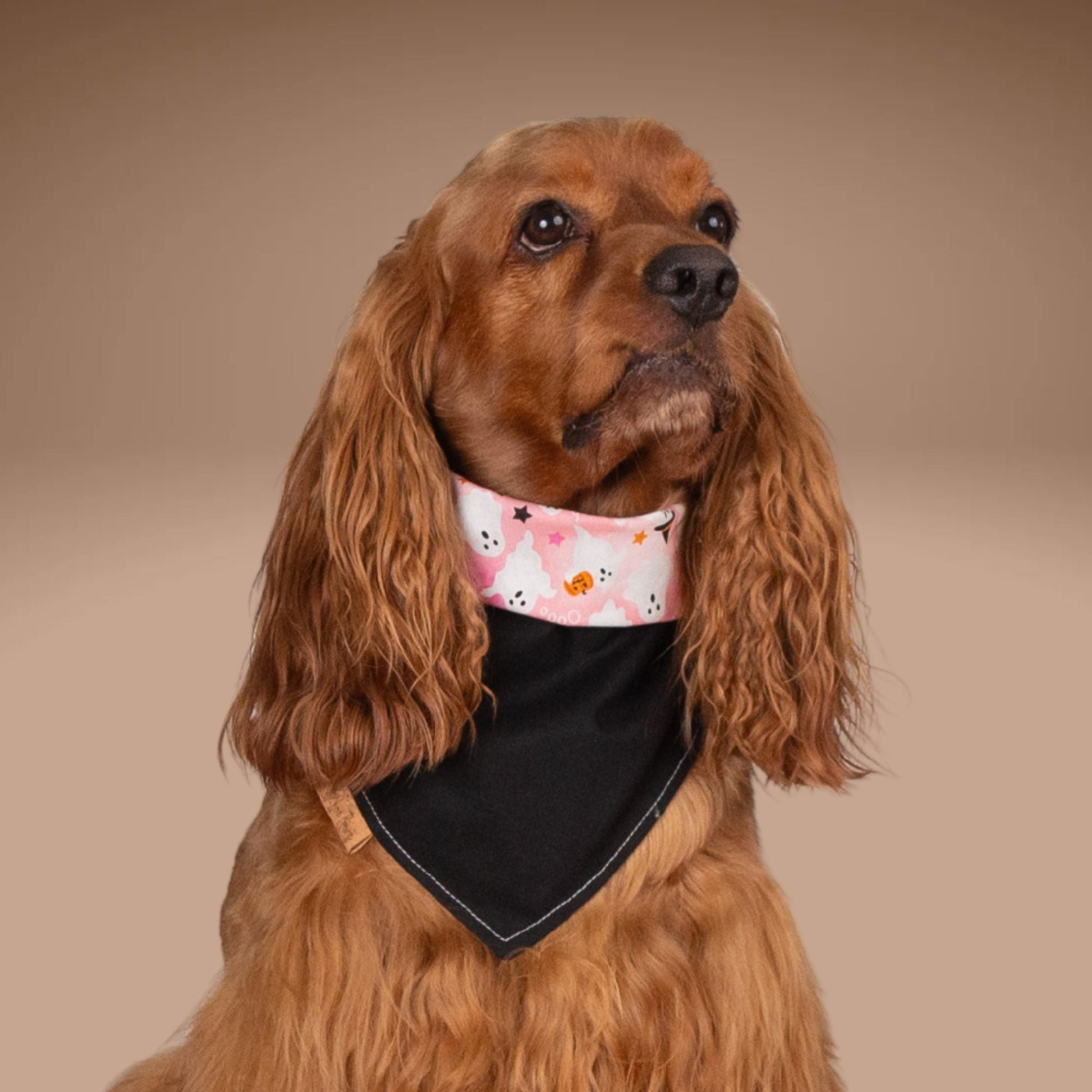 Tie and Snap Boo Crew by Life for Pawz – Handmade for pets