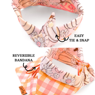 Tie and Snap Cancer Awareness Pumpkin & Plaid Tie & Snap Bandana by Life for Pawz – Handmade for pets