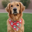 Tie and Snap Cool Santa Bandana by Life for Pawz – Handmade for pets