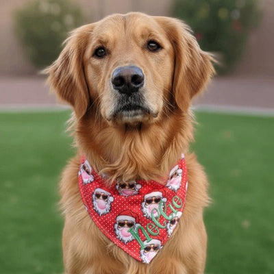 Tie and Snap Cool Santa Bandana by Life for Pawz – Handmade for pets