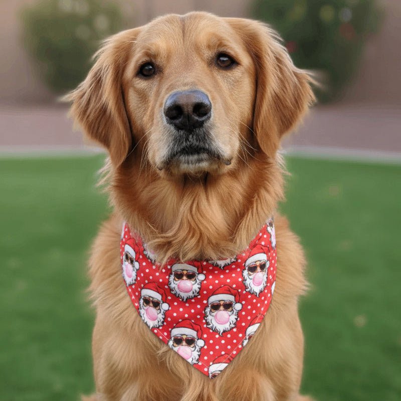 Tie and Snap Cool Santa Bandana by Life for Pawz – Handmade for pets