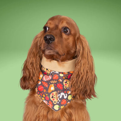 Tie and Snap Cozy Game Day by Life for Pawz – Handmade for pets