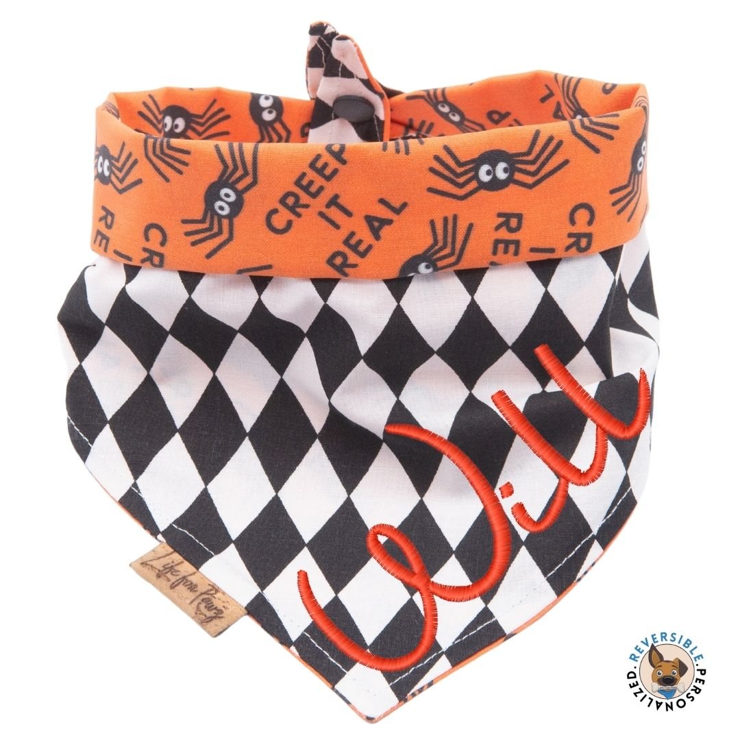 Tie and Snap Creep It Real by Life for Pawz – Handmade for pets