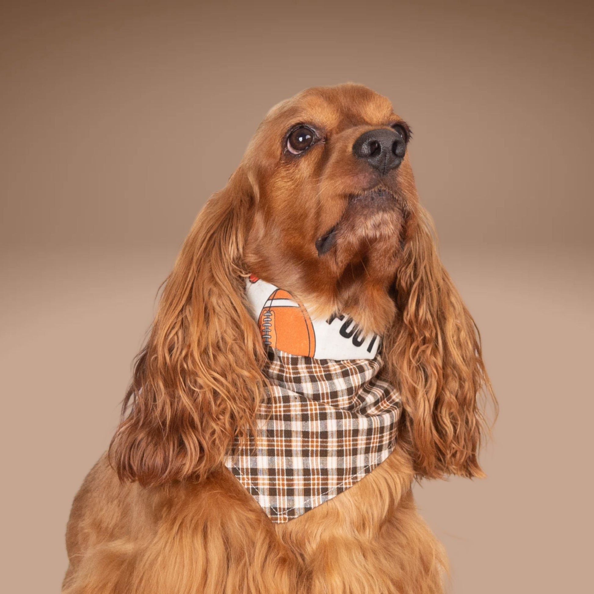 Tie and Snap Fall Football by Life for Pawz – Handmade for pets