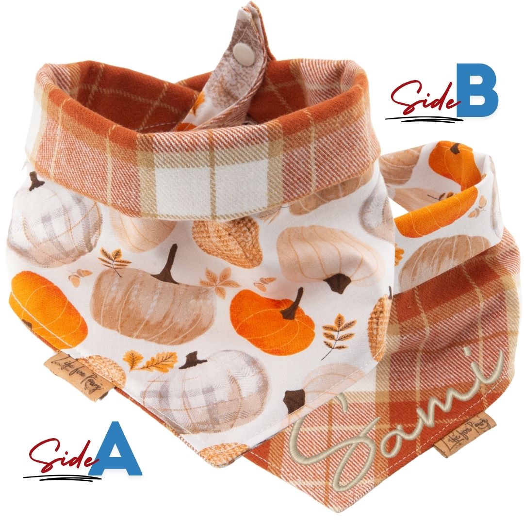 Tie and Snap Fall Harvest Plaid by Life for Pawz – Handmade for pets