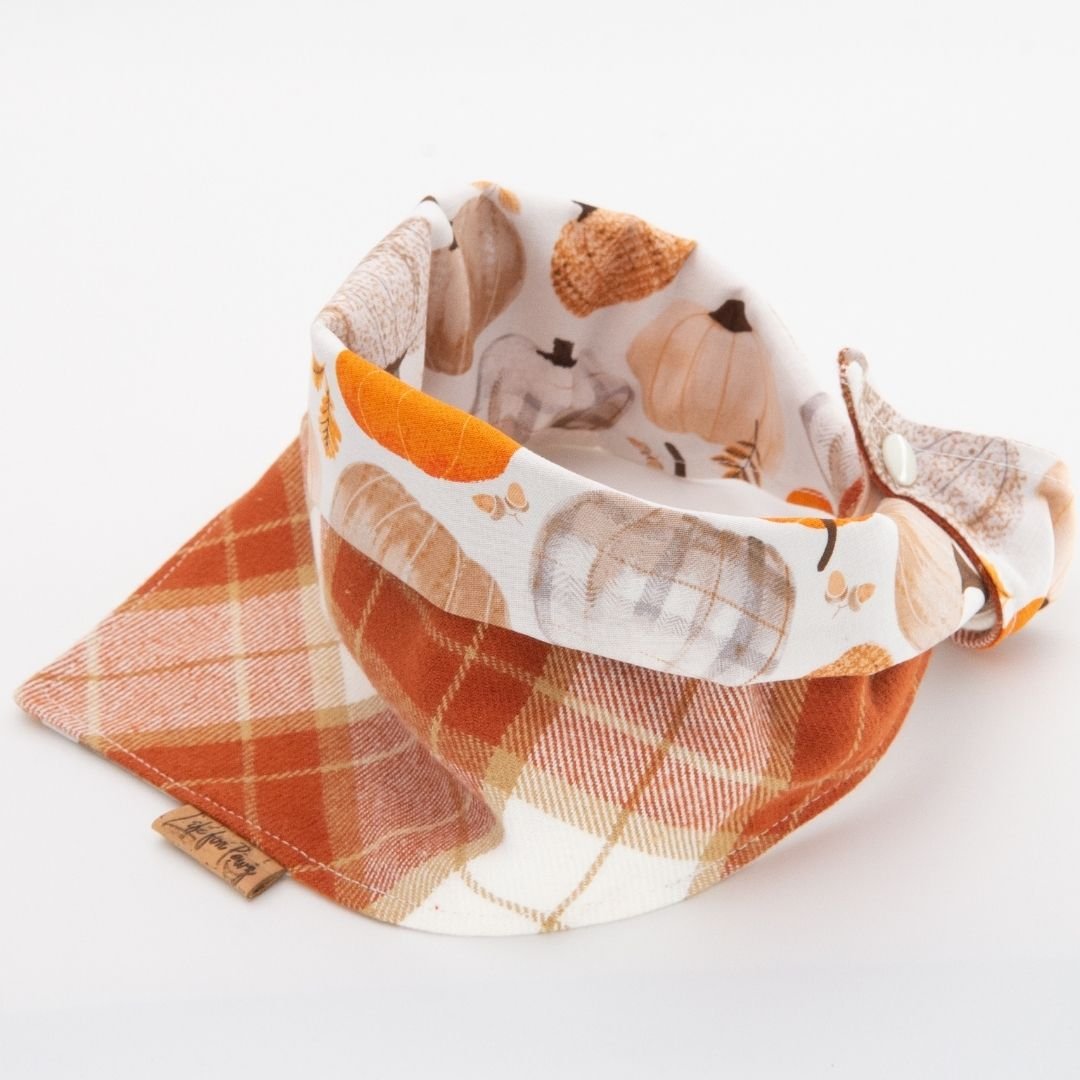 Tie and Snap Fall Harvest Plaid by Life for Pawz – Handmade for pets