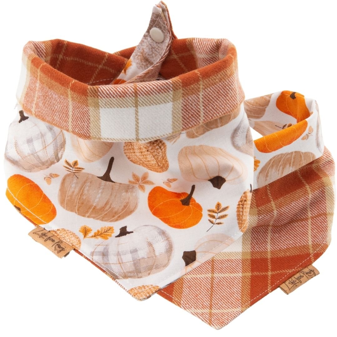 Tie and Snap Fall Harvest Plaid by Life for Pawz – Handmade for pets