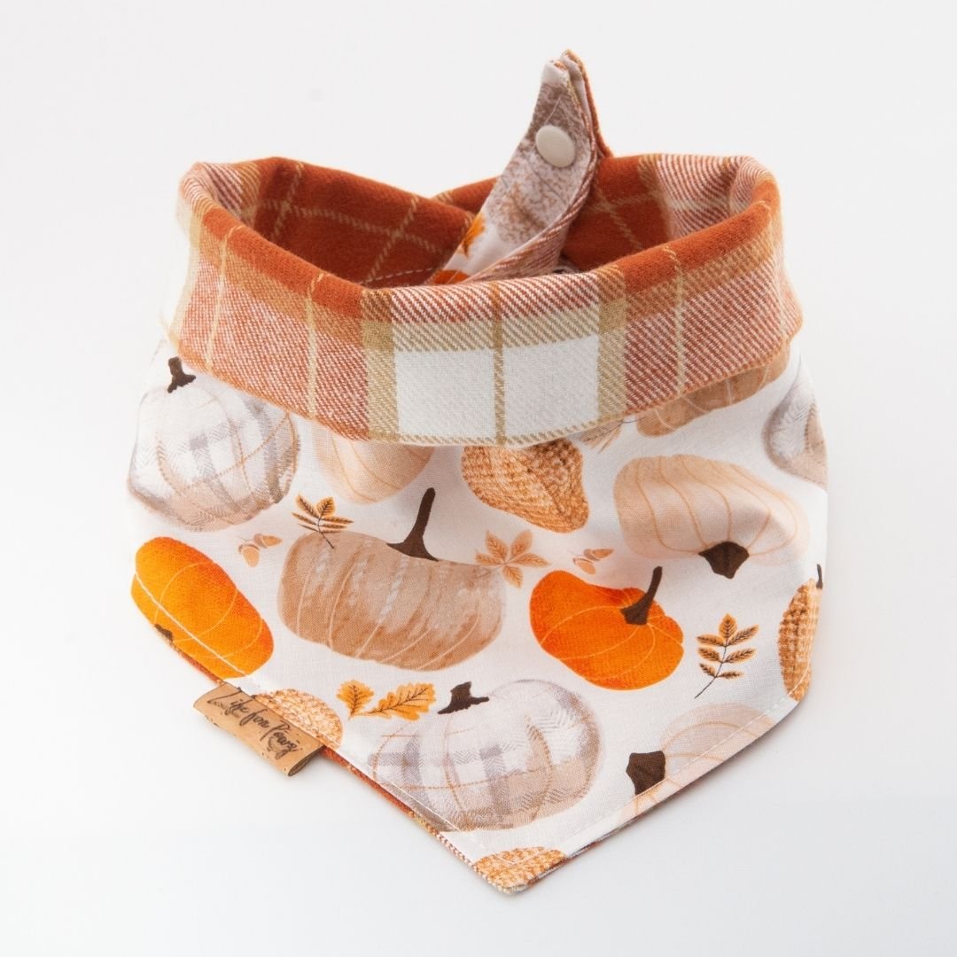 Tie and Snap Fall Harvest Plaid by Life for Pawz – Handmade for pets