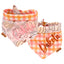 Tie and Snap Fall Pumpkin Dog Bandana by Life for Pawz – Handmade for pets