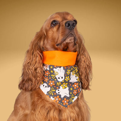 Tie and Snap Floral Ghosts by Life for Pawz – Handmade for pets