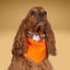 Tie and Snap Floral Ghosts by Life for Pawz – Handmade for pets