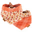 Tie and Snap Football & Fall Plaid by Life for Pawz – Handmade for pets