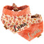 Tie and Snap Football & Fall Plaid by Life for Pawz – Handmade for pets