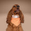 Tie and Snap Ghost Garden by Life for Pawz – Handmade for pets