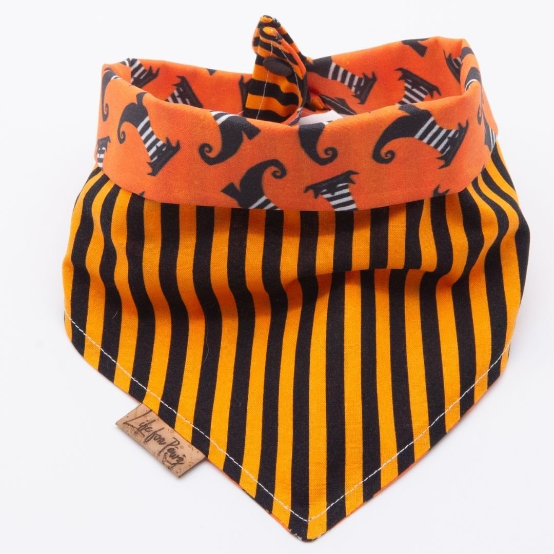 Tie and Snap Halloween Spooky Fun by Life for Pawz – Handmade for pets