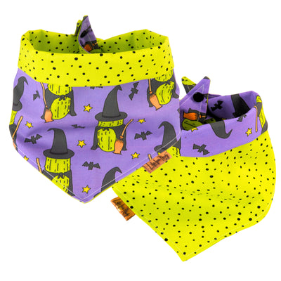 Tie and Snap Halloween Witch Cactus by Life for Pawz – Handmade for pets