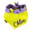 Tie and Snap Halloween Witch Cactus by Life for Pawz – Handmade for pets