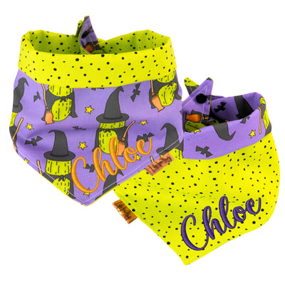 Tie and Snap Halloween Witch Cactus by Life for Pawz – Handmade for pets