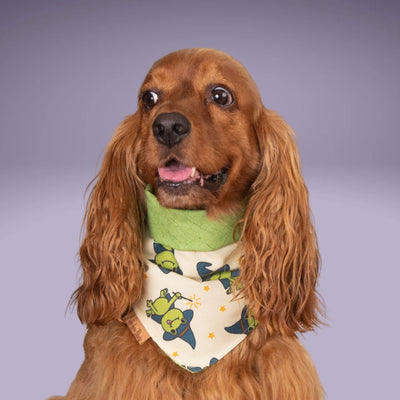 Tie and Snap Hoppy Haunts by Life for Pawz – Handmade for pets