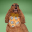 Tie and Snap I See Treats by Life for Pawz – Handmade for pets