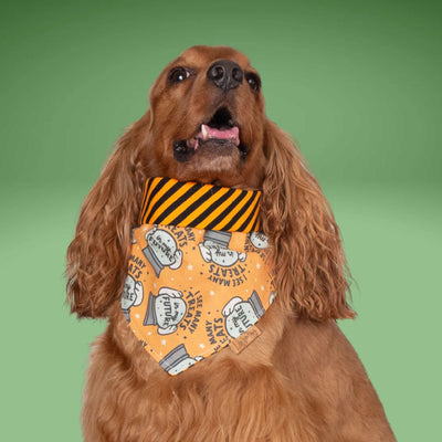 Tie and Snap I See Treats by Life for Pawz – Handmade for pets