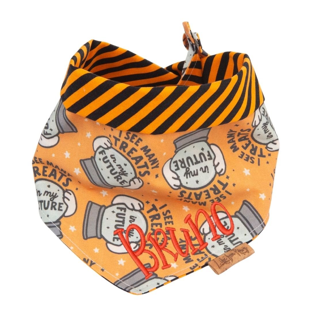 Tie and Snap I See Treats by Life for Pawz – Handmade for pets