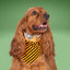 Tie and Snap I See Treats by Life for Pawz – Handmade for pets