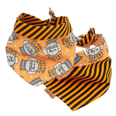 Tie and Snap I See Treats by Life for Pawz – Handmade for pets