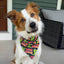 Tie and Snap Later Gator by Life for Pawz – Handmade for pets